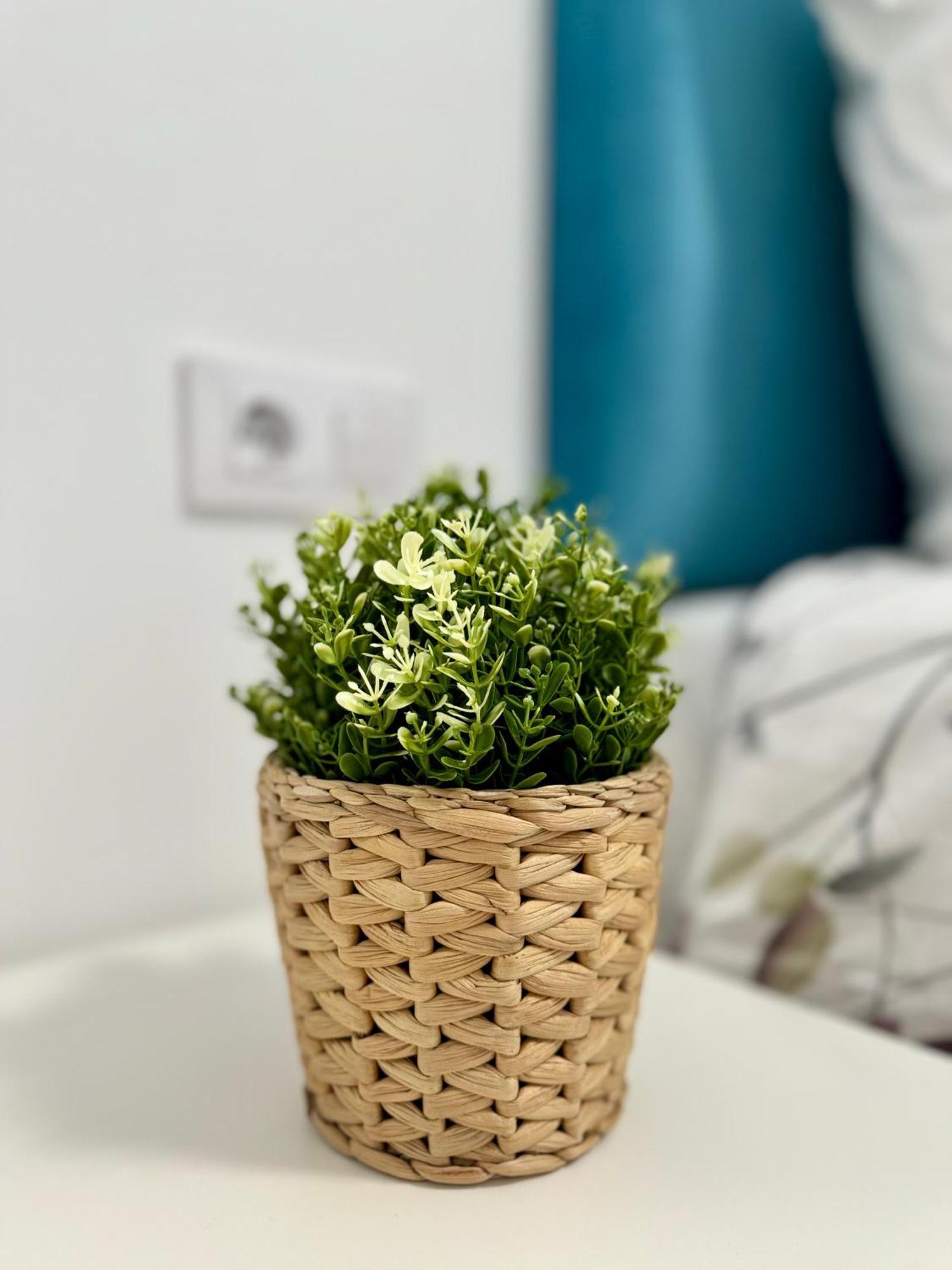 Apartamento Centrico Vigo Exteriör bild